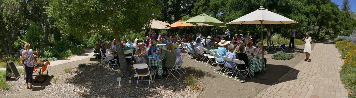 2017 Volunteer Appreciation Luncheon