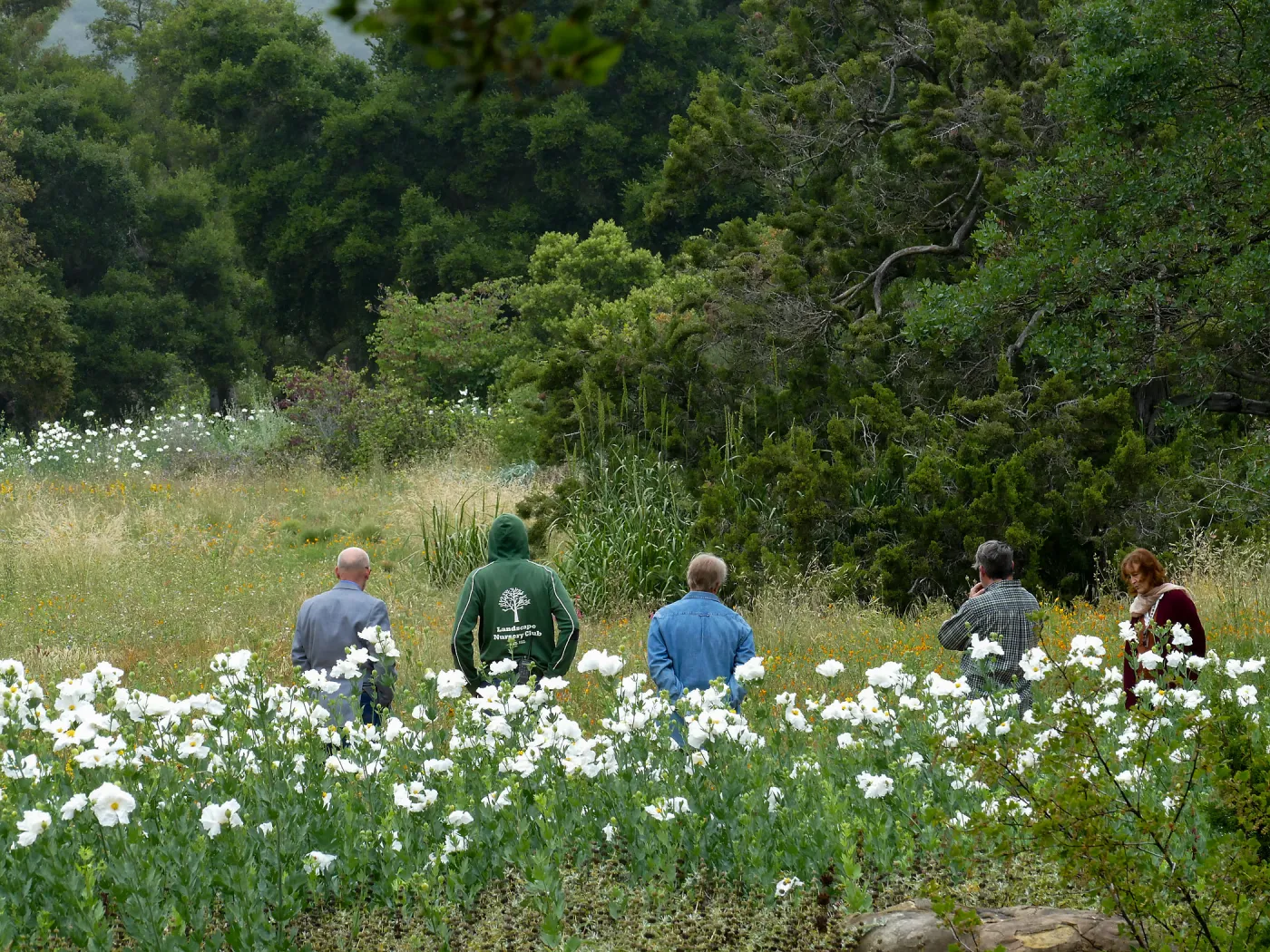 Morning Meadow Management Meeting
