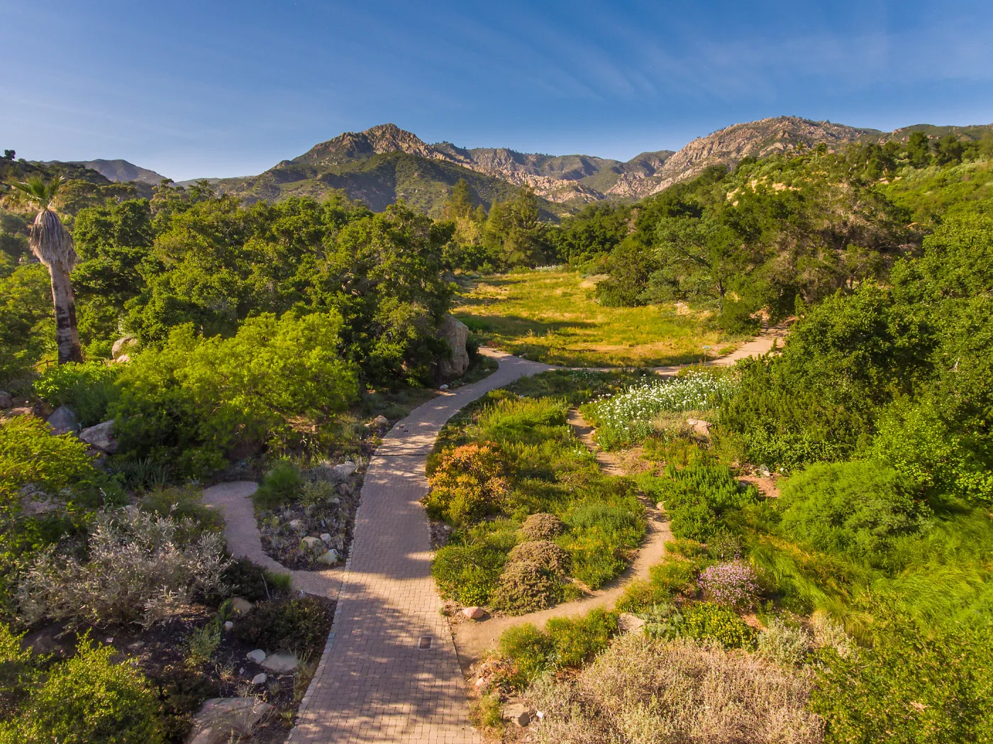 Aerial view of Desert Section, Groundcover Display and Meadow