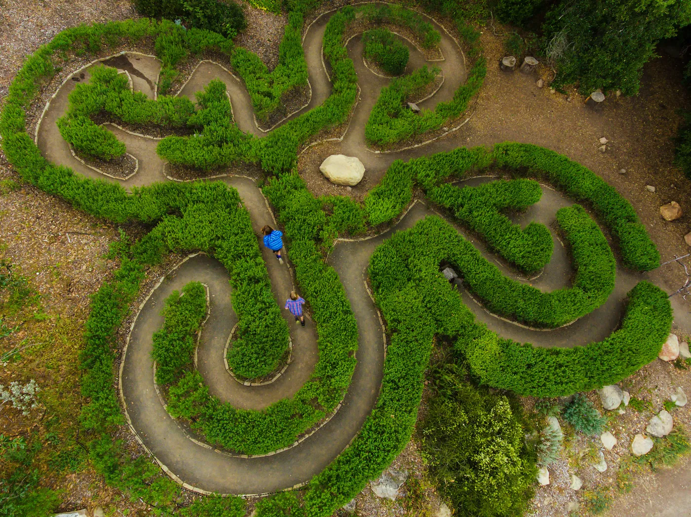 Aerial view of Centennial Maze