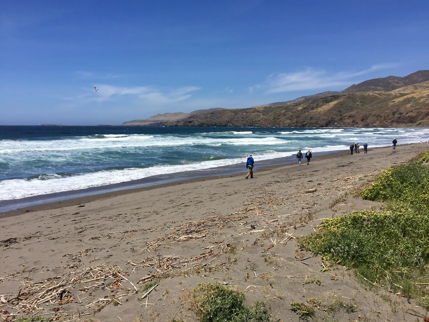 Santa Cruz Island Trip, Group on Christy Beach