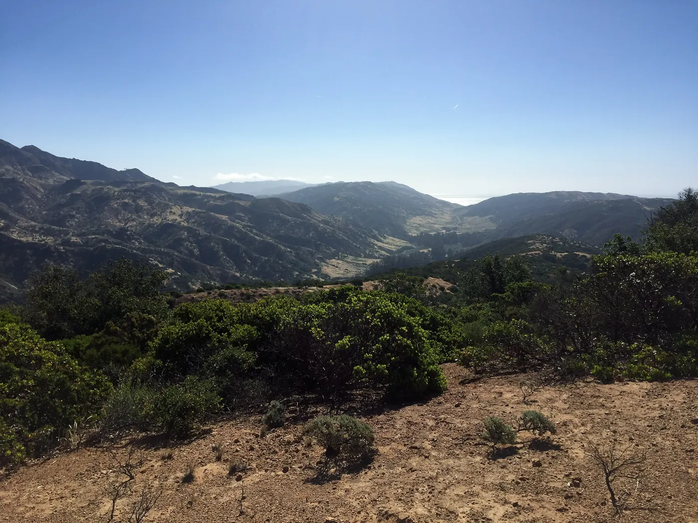 Santa Cruz Island Trip, Central Valley