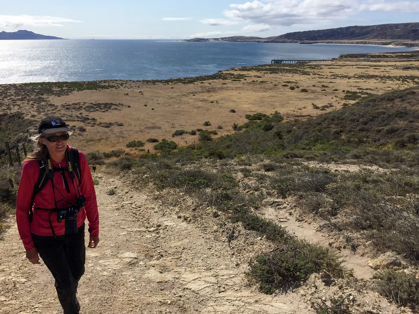 Santa Rosa Island Trip, Nancy Deacon-Davis hiking to Carrington Point, looking back towards dock