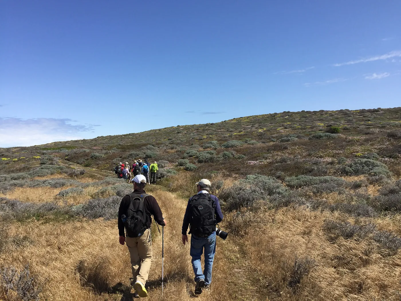 Santa Rosa Island Trip, group hiking to Carrington Point