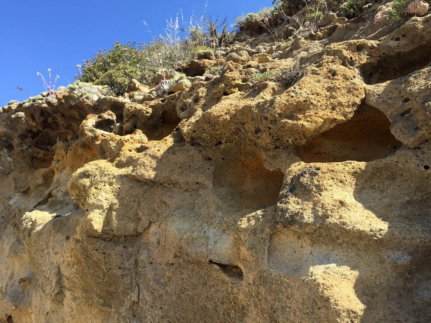 Santa Rosa Island Trip, hiking on Smith Highway to Lobo Canyon