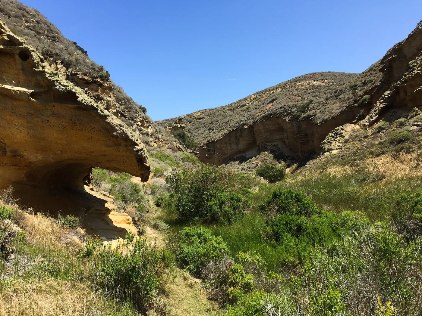Santa Rosa Island Trip, Lobo Canyon