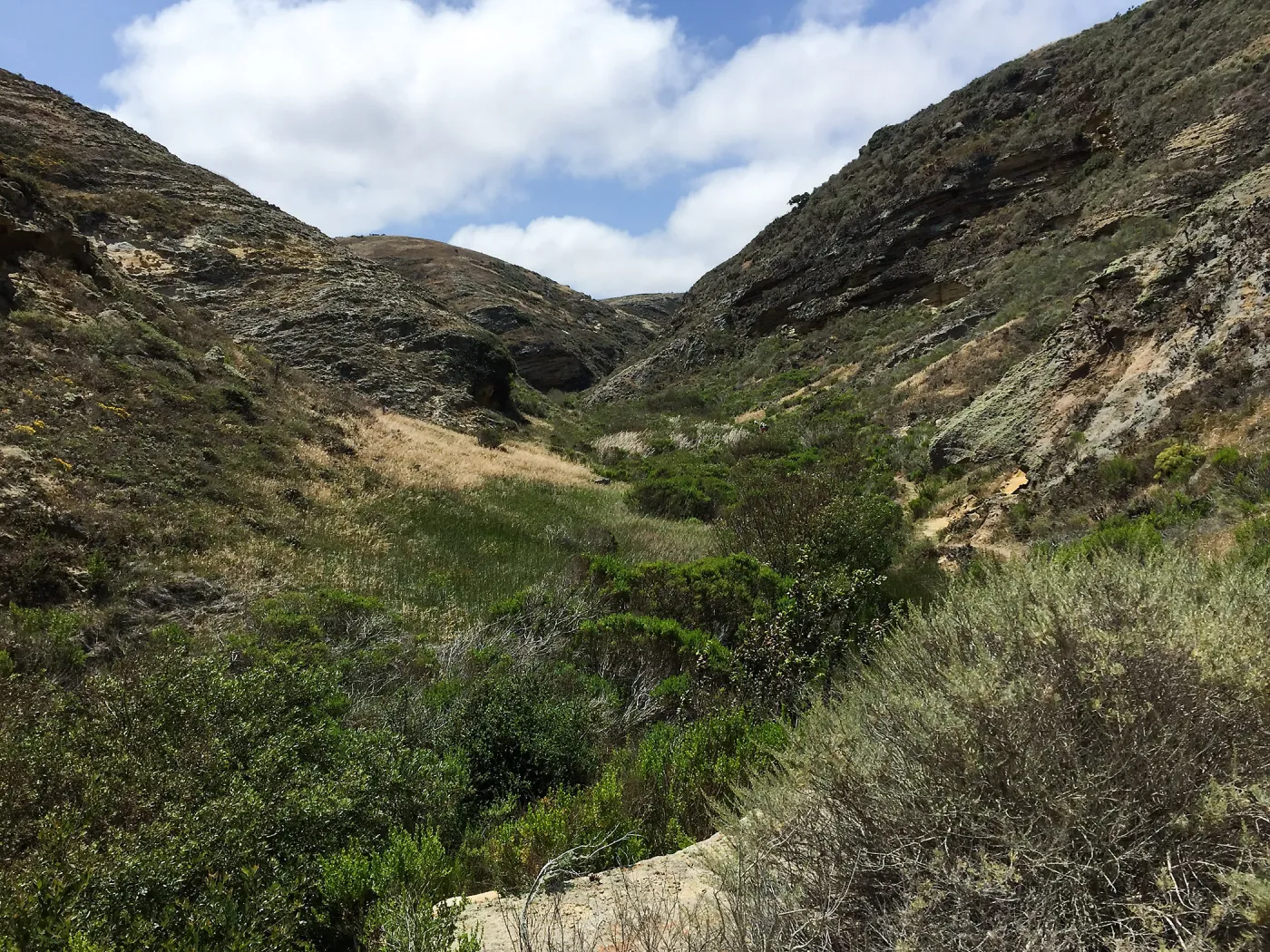 Santa Rosa Island Trip, Lobo Canyon