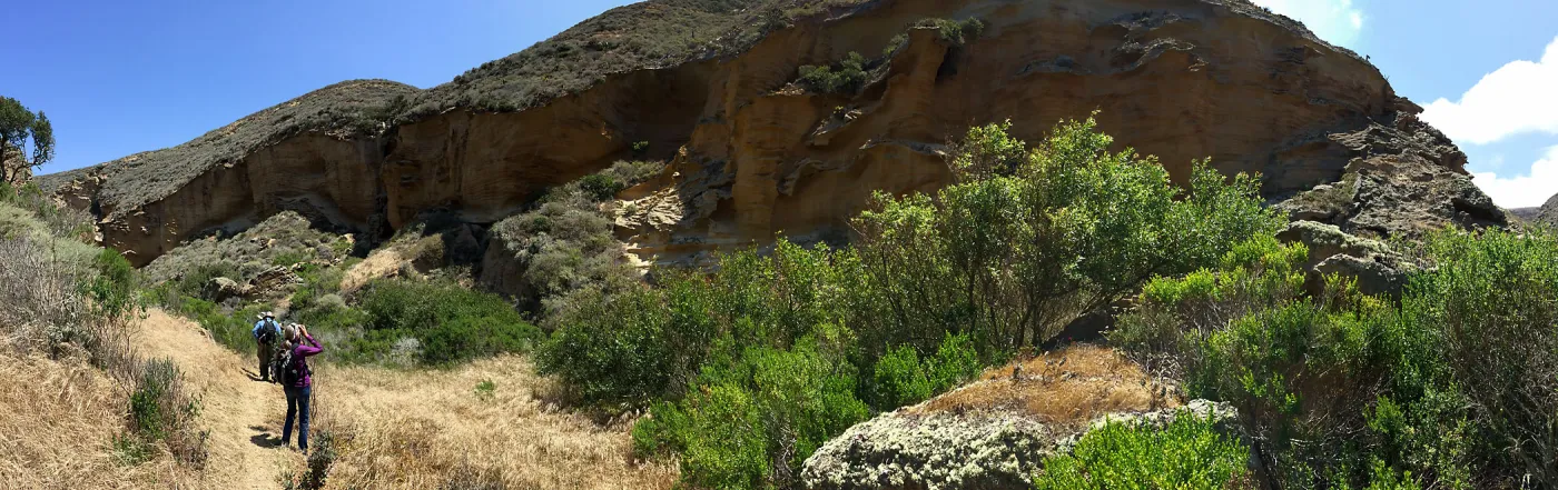 Santa Rosa Island Trip, Lobo Canyon