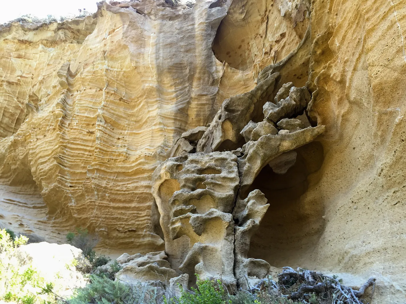Santa Rosa Island Trip, Lobo Canyon