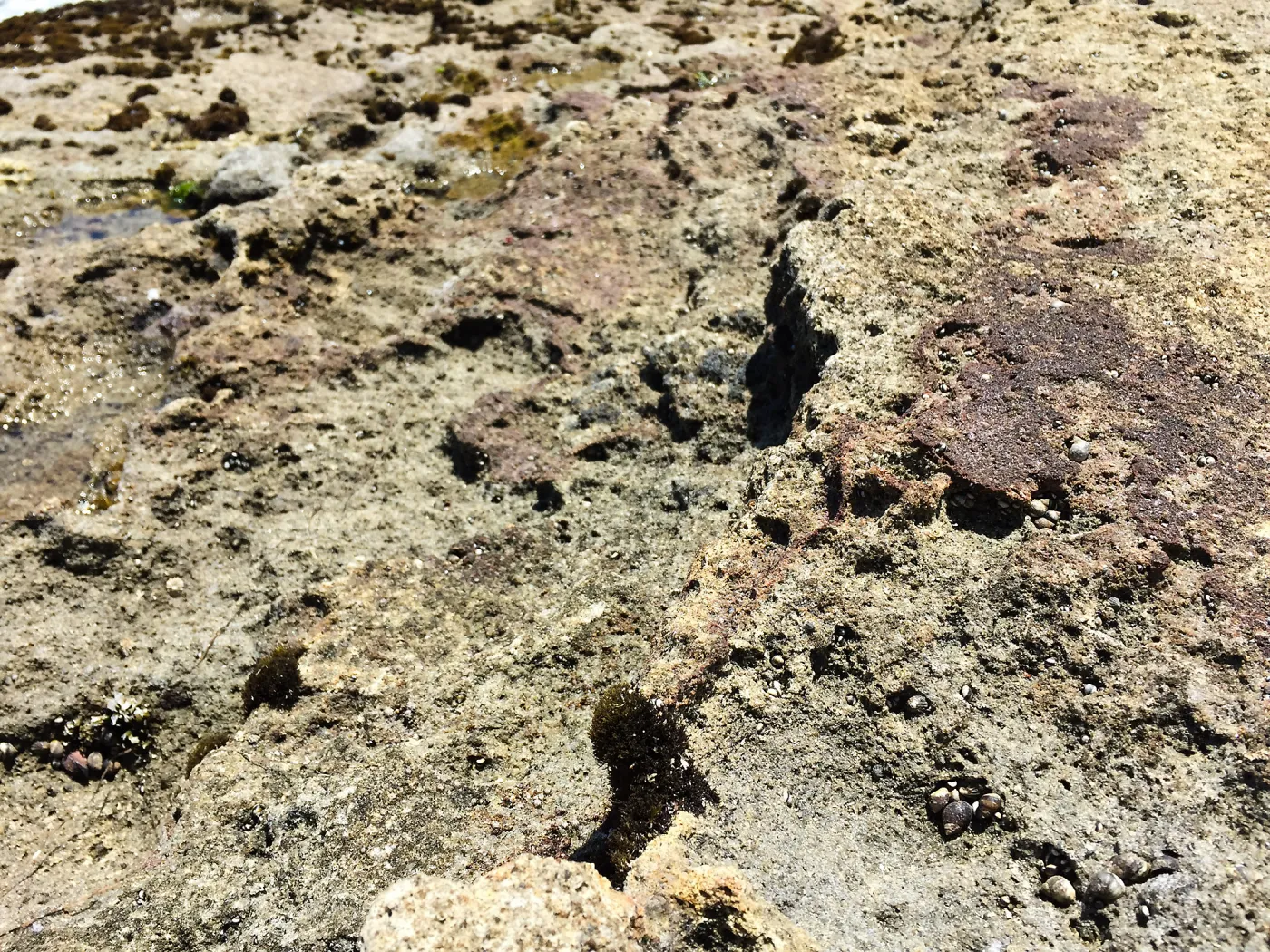 Santa Rosa Island Trip, Rock on Lobo Canyon beach