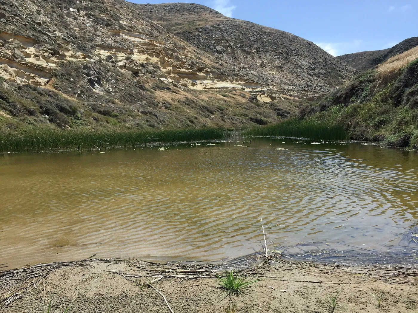 Santa Rosa Island Trip, Lobo Canyon beach