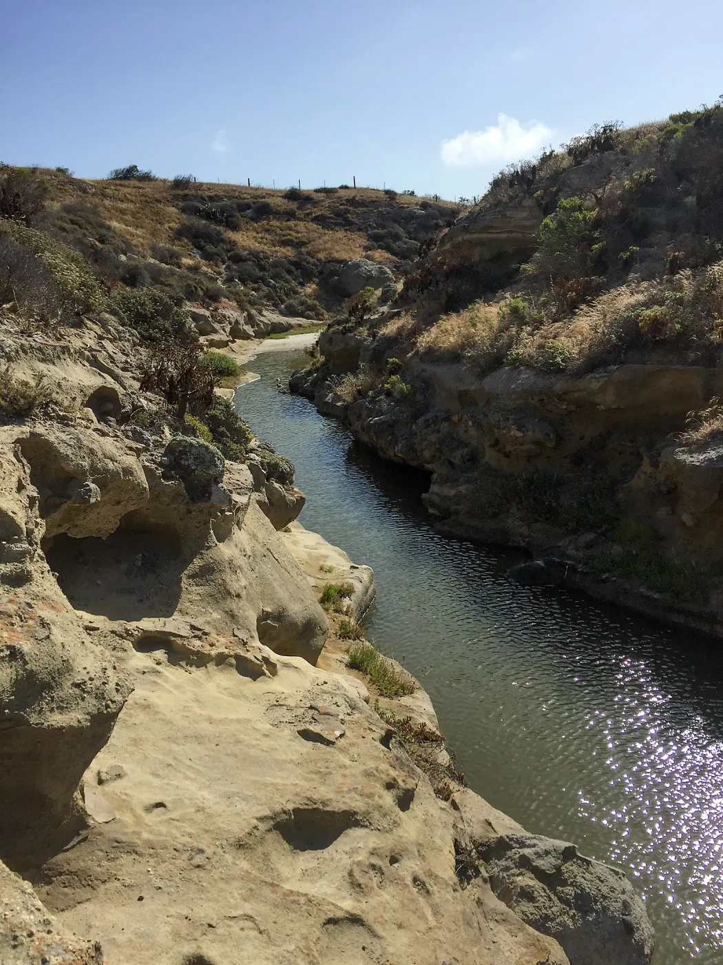 Santa Rosa Island Trip, slough