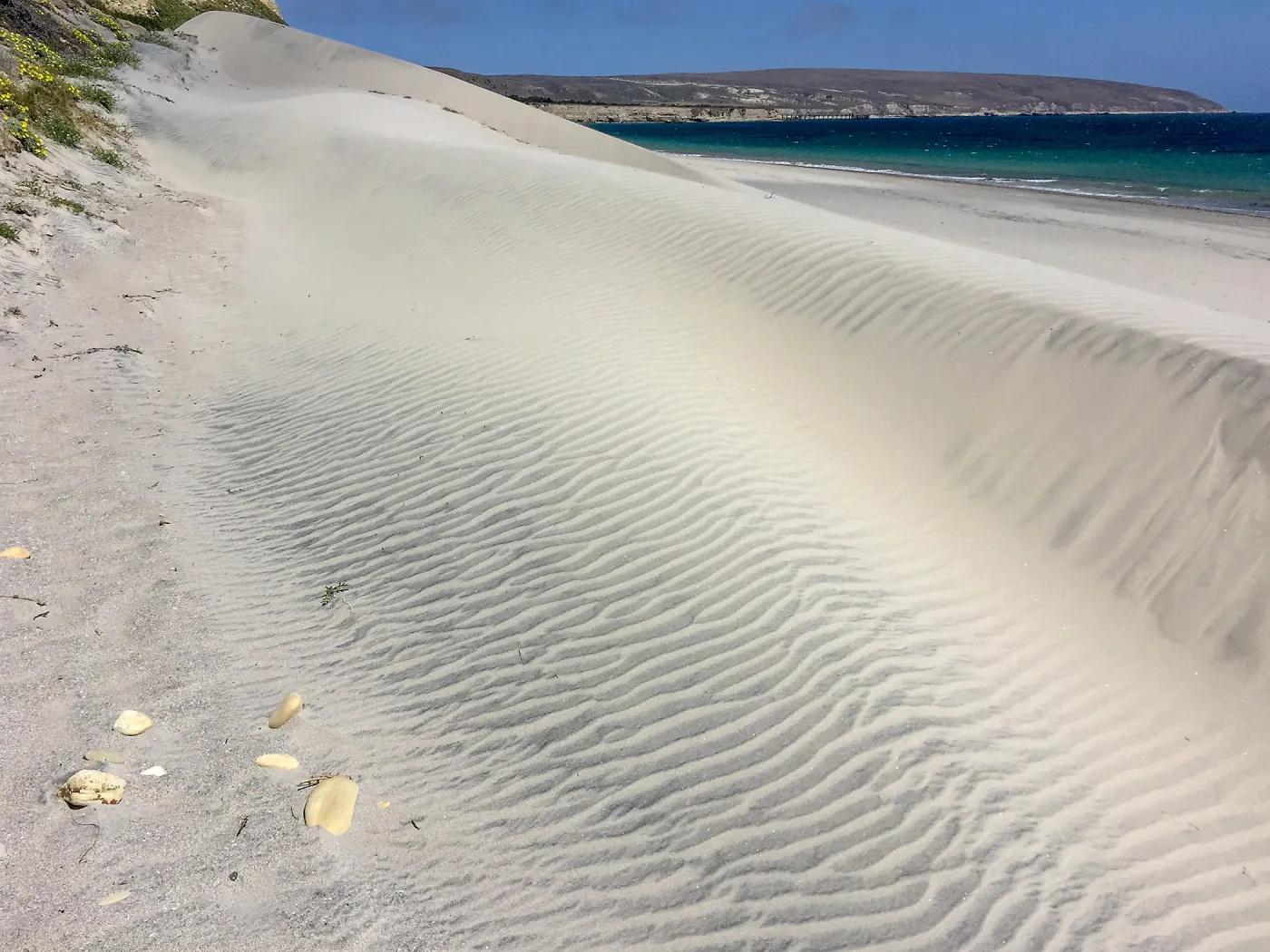 Santa Rosa Island Trip, Dune on beach