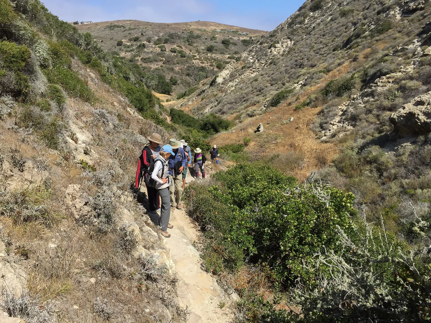 Santa Rosa Island Trip, group hiking