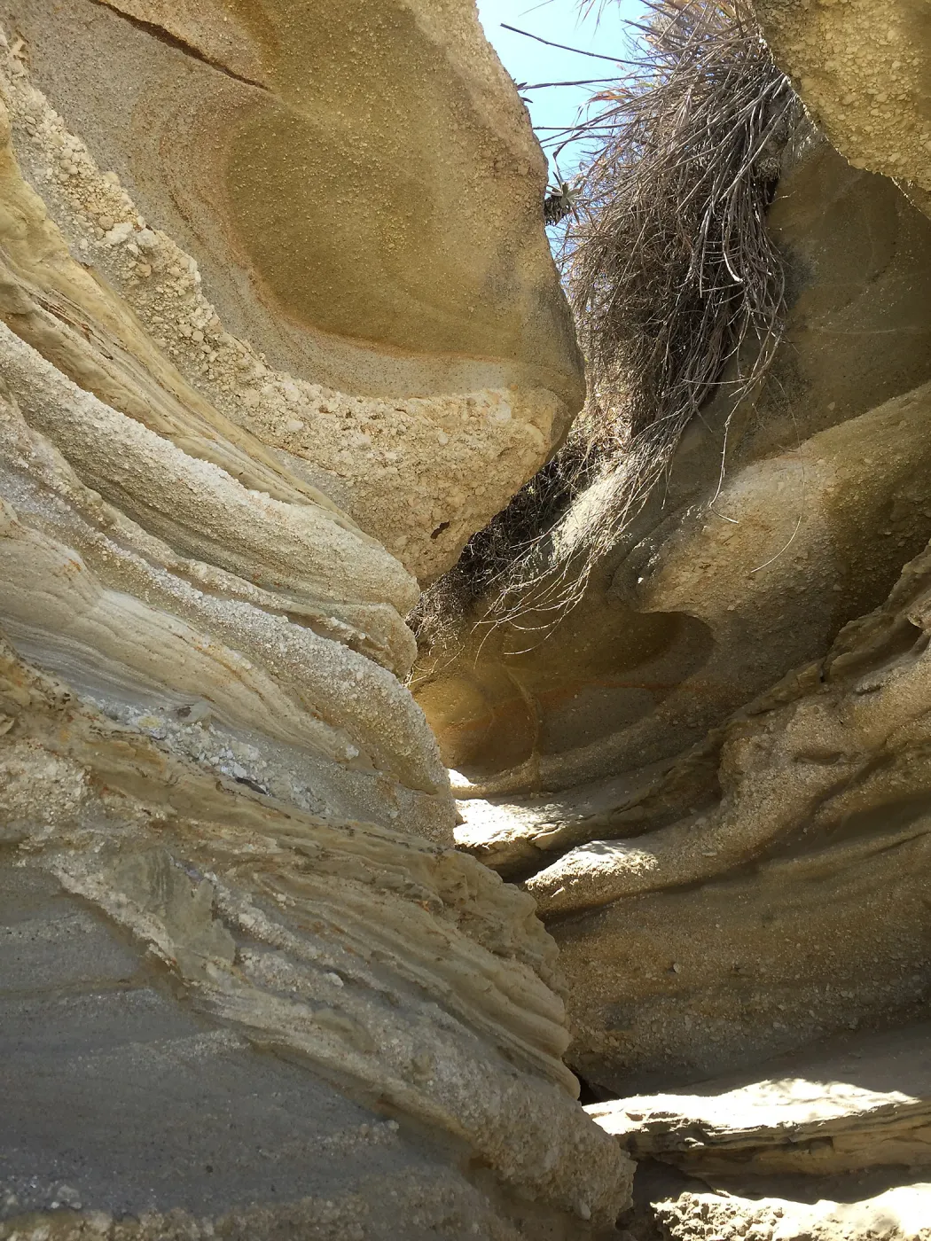 Santa Rosa Island Trip, Slot canyon along beach