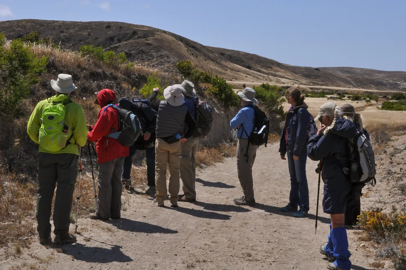 Santa Rosa Island Trip, Group hiking along Coastal Road