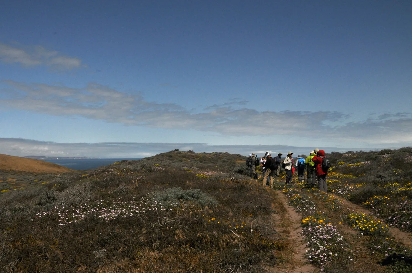 Santa Rosa Island Trip, Group walking towards Carrington Point