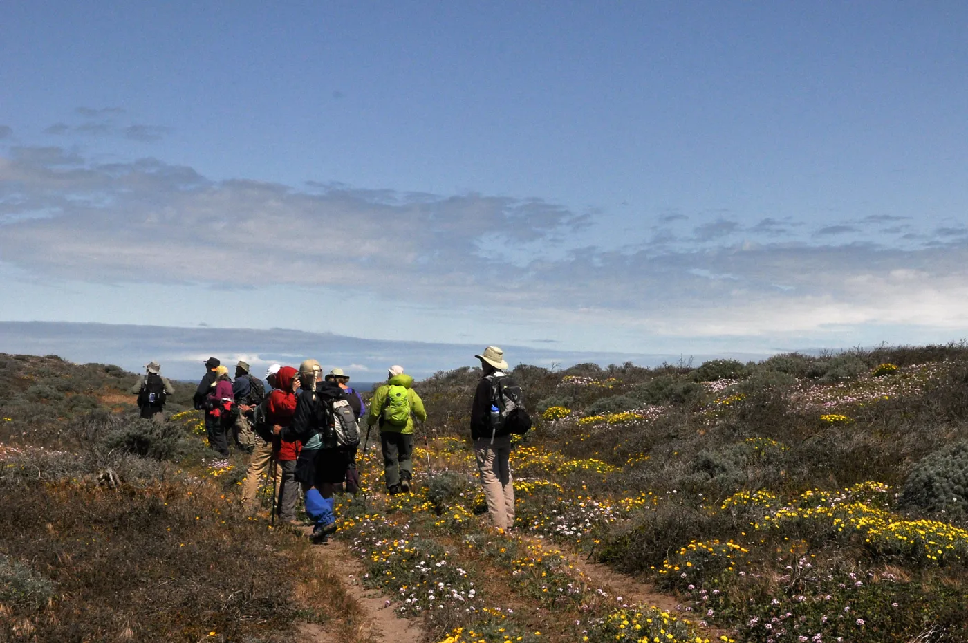 Santa Rosa Island Trip, Group walking towards Carrington Point