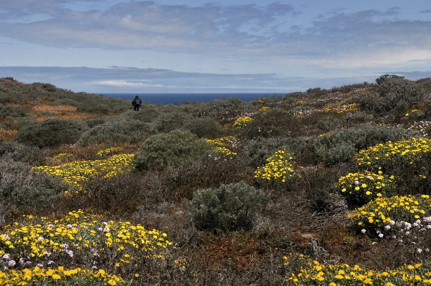 Santa Rosa Island Trip, Group walking towards Carrington Point