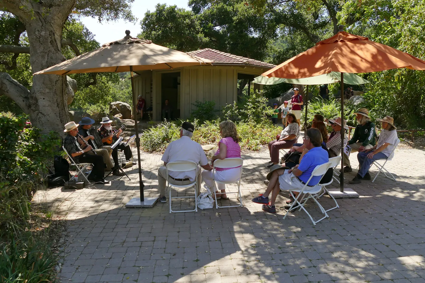 Free Seniors Day with music by Long Gone Daddies