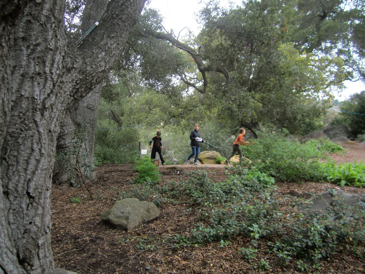 BranchOut Kids Outdoor Activity Pilot Project