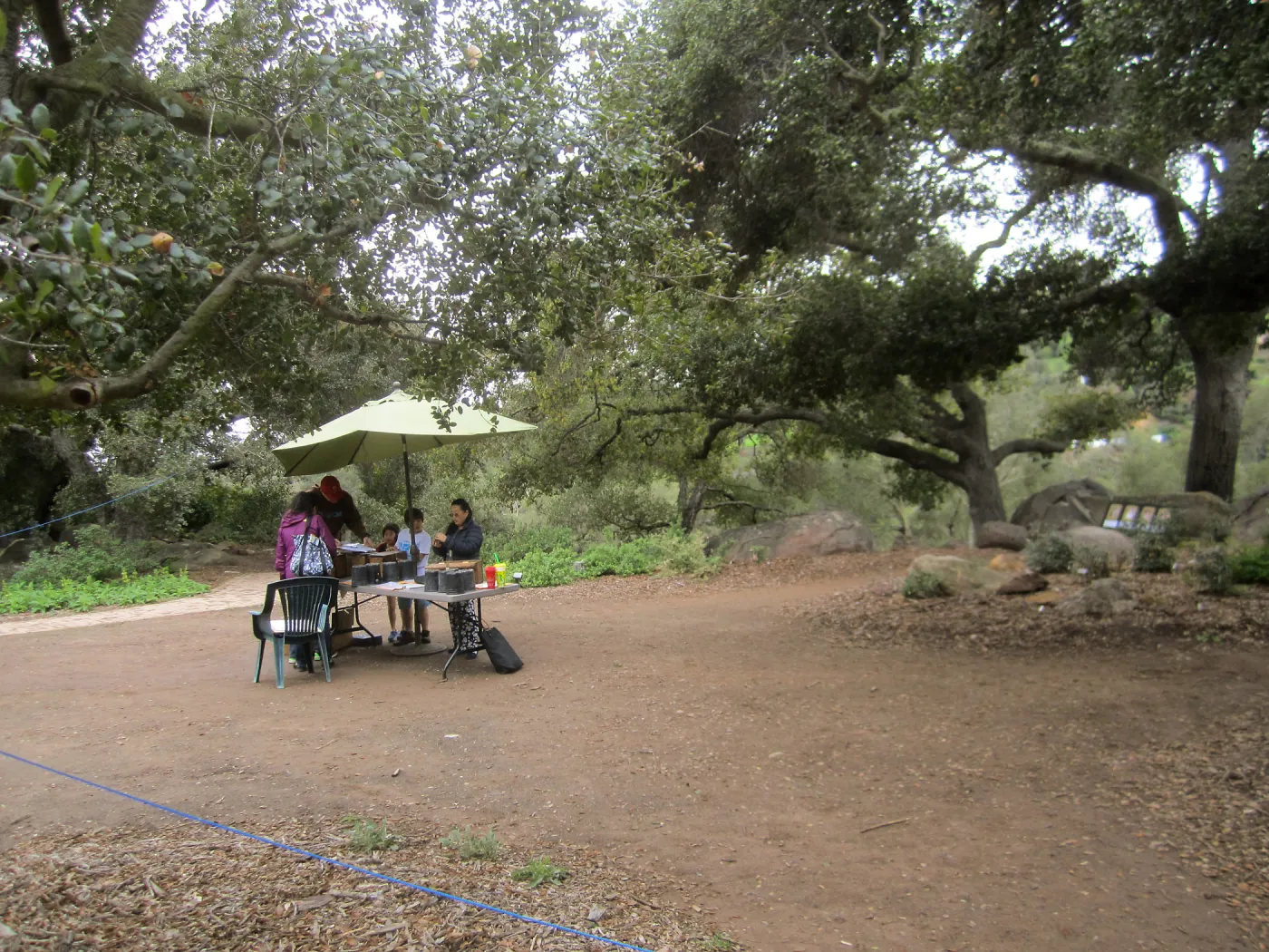 BranchOut Kids Outdoor Activity Pilot Project