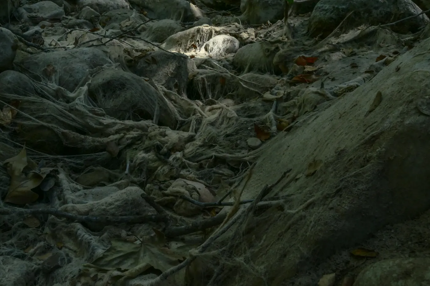 Ghost creek, lower creek crossing