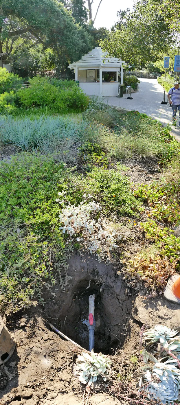Irrigation valve at base of Ground Cover section