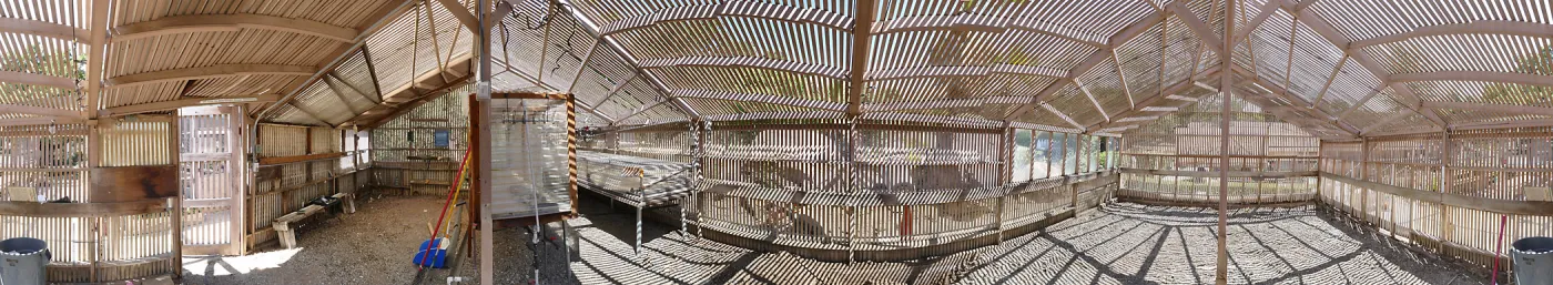 Garden Growers Lath House before start of repairs. Panorama from center of interior.