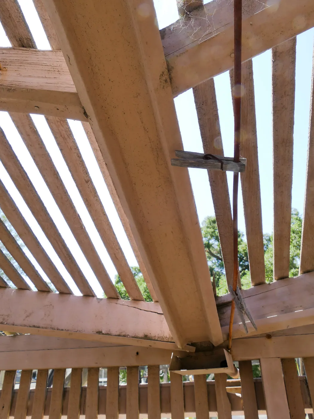 Garden Growers Lath House before start of repairs. Condensation drain system detail.