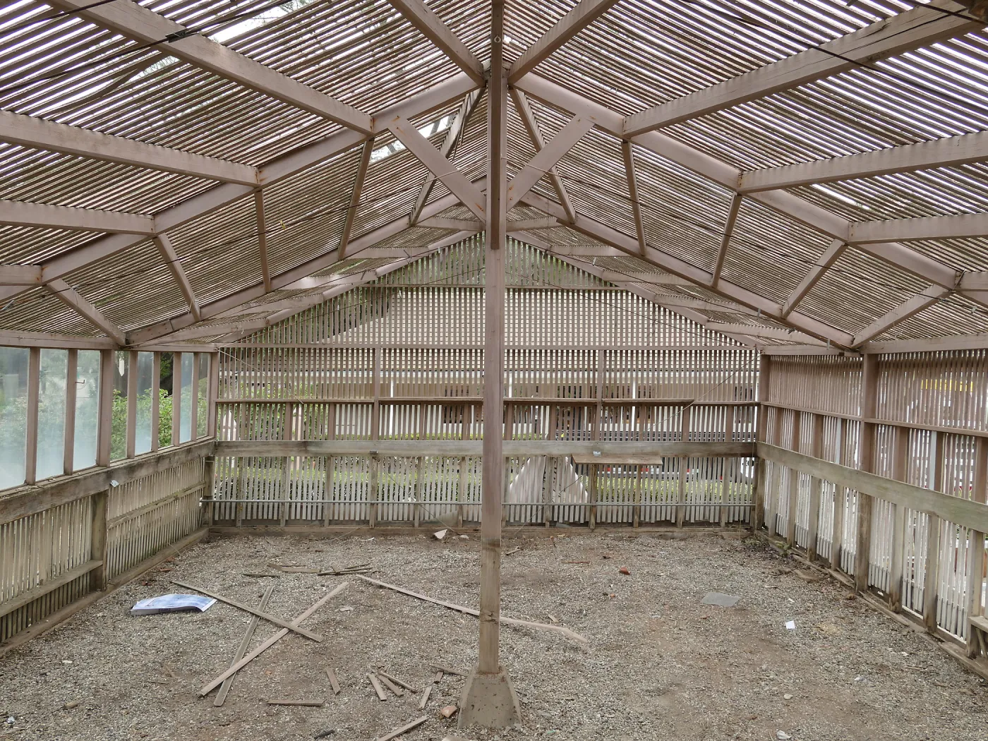 Garden Growers Lath House at start of repairs. Interior looking east.