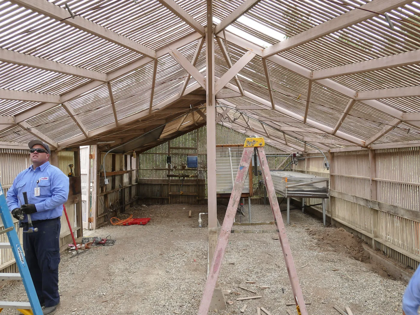 Garden Growers Lath House at start of repairs. Interior looking west.