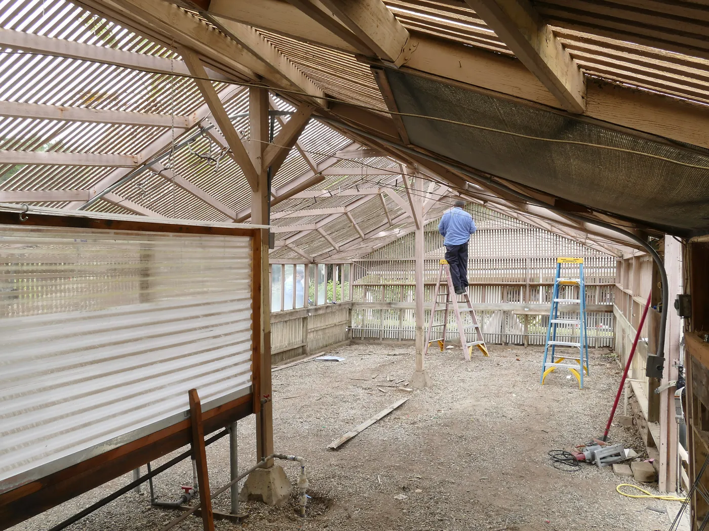 Garden Growers Lath House at start of repairs. Interior looking northeast from southwest corner.