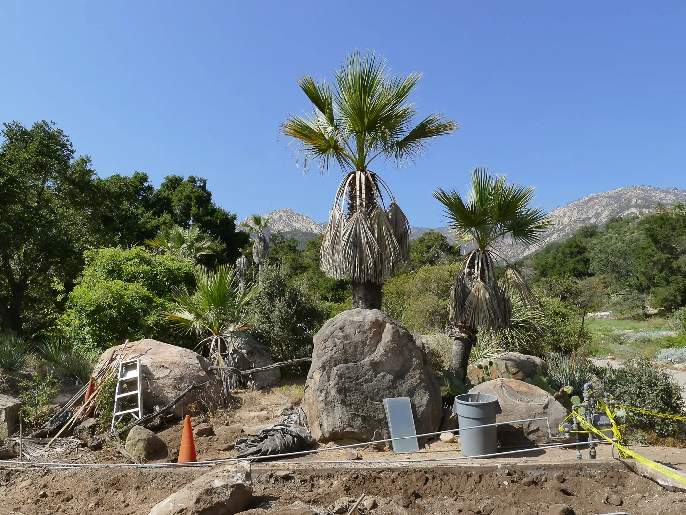 Desert Section, looking north from Garden Growers Nursery