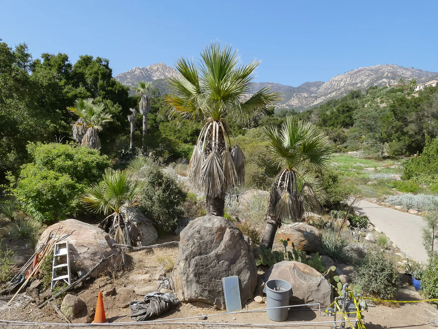 Desert Section, looking north from Garden Growers Nursery