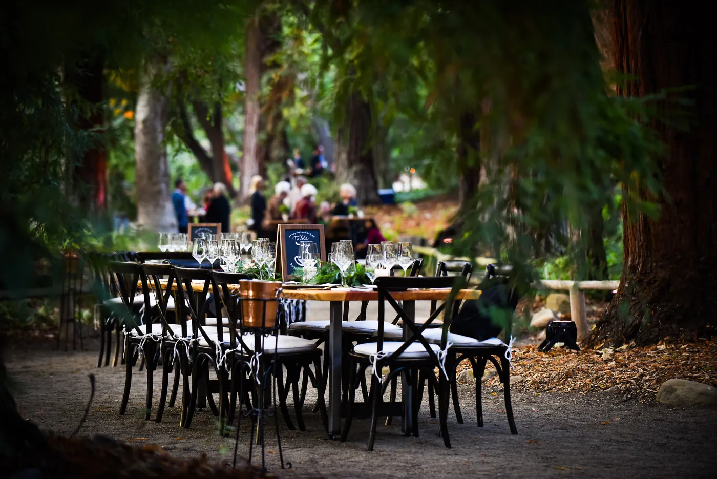 Garden to Table Dinner in the Redwoods 2017