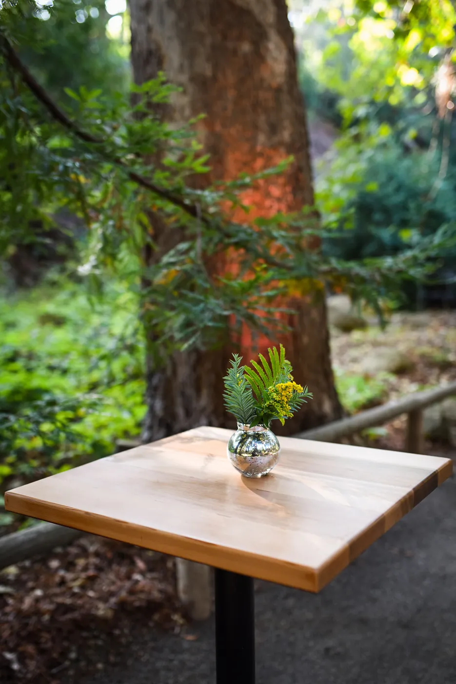 Garden to Table Dinner in the Redwoods 2017
