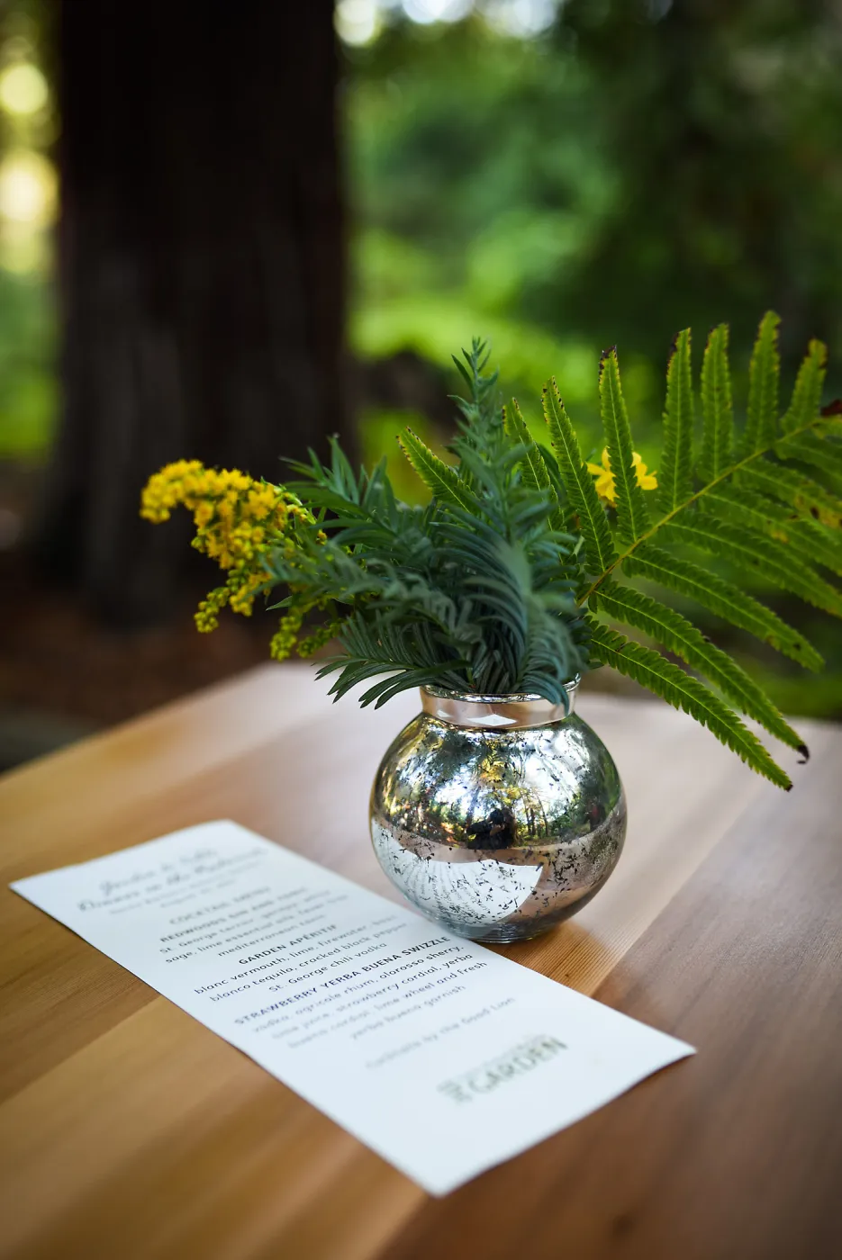 Garden to Table Dinner in the Redwoods 2017