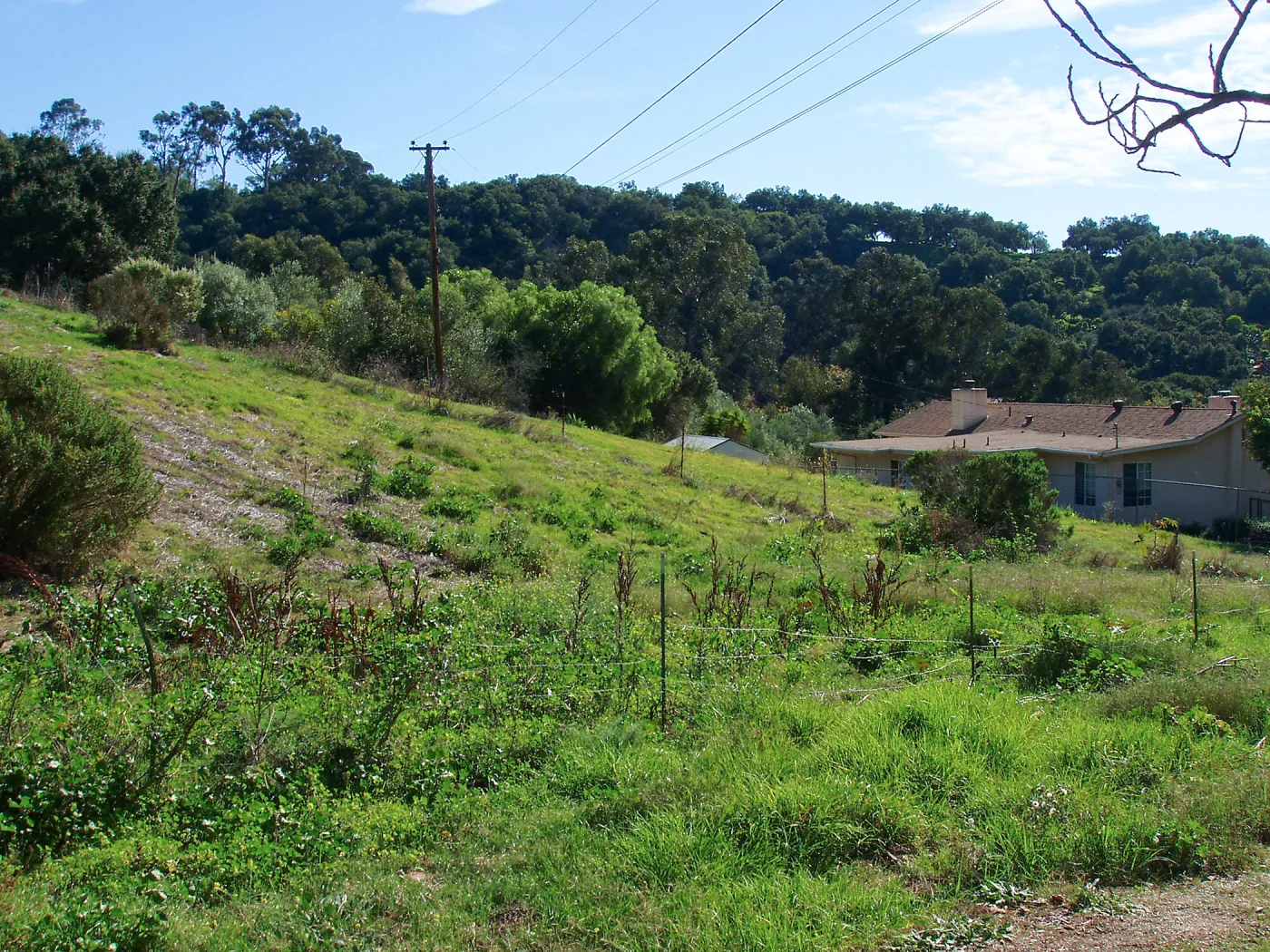 Cavalli property