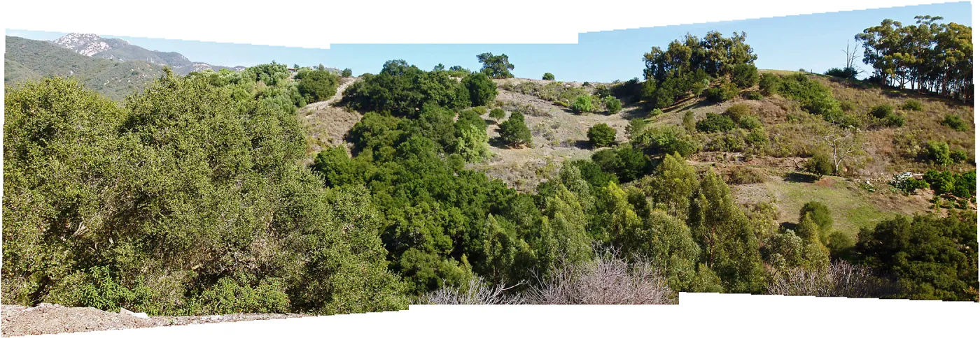 Cavalli Ridge