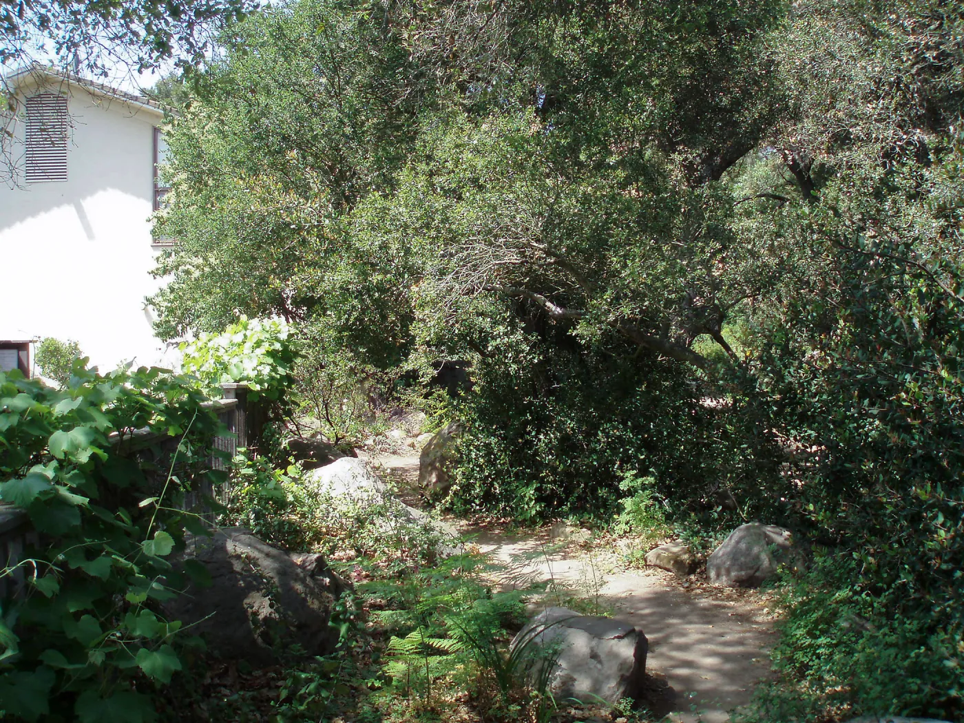 Home Demonstration Garden and south side of Herbarium