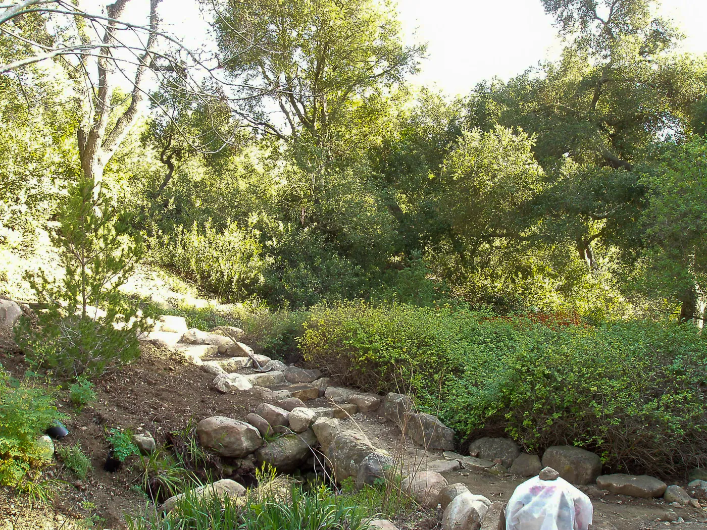 Discovery Garden construction