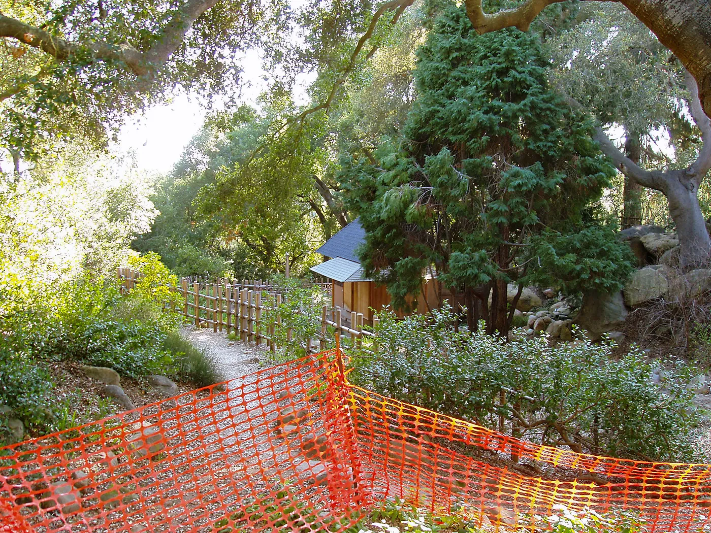 Discovery Garden construction