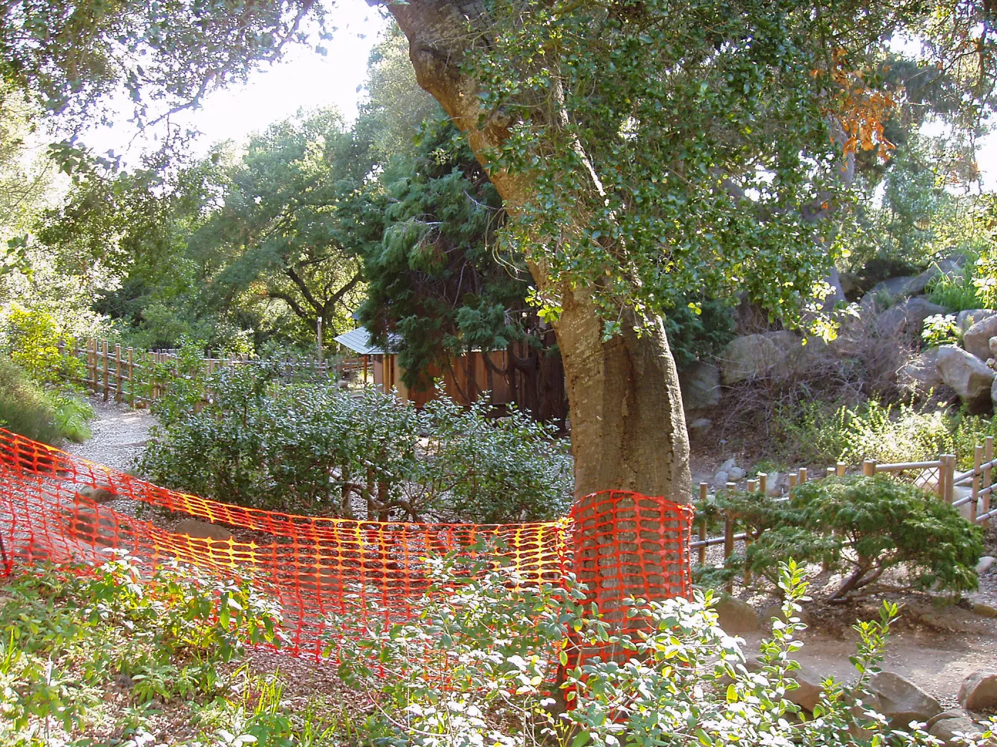 Discovery Garden construction