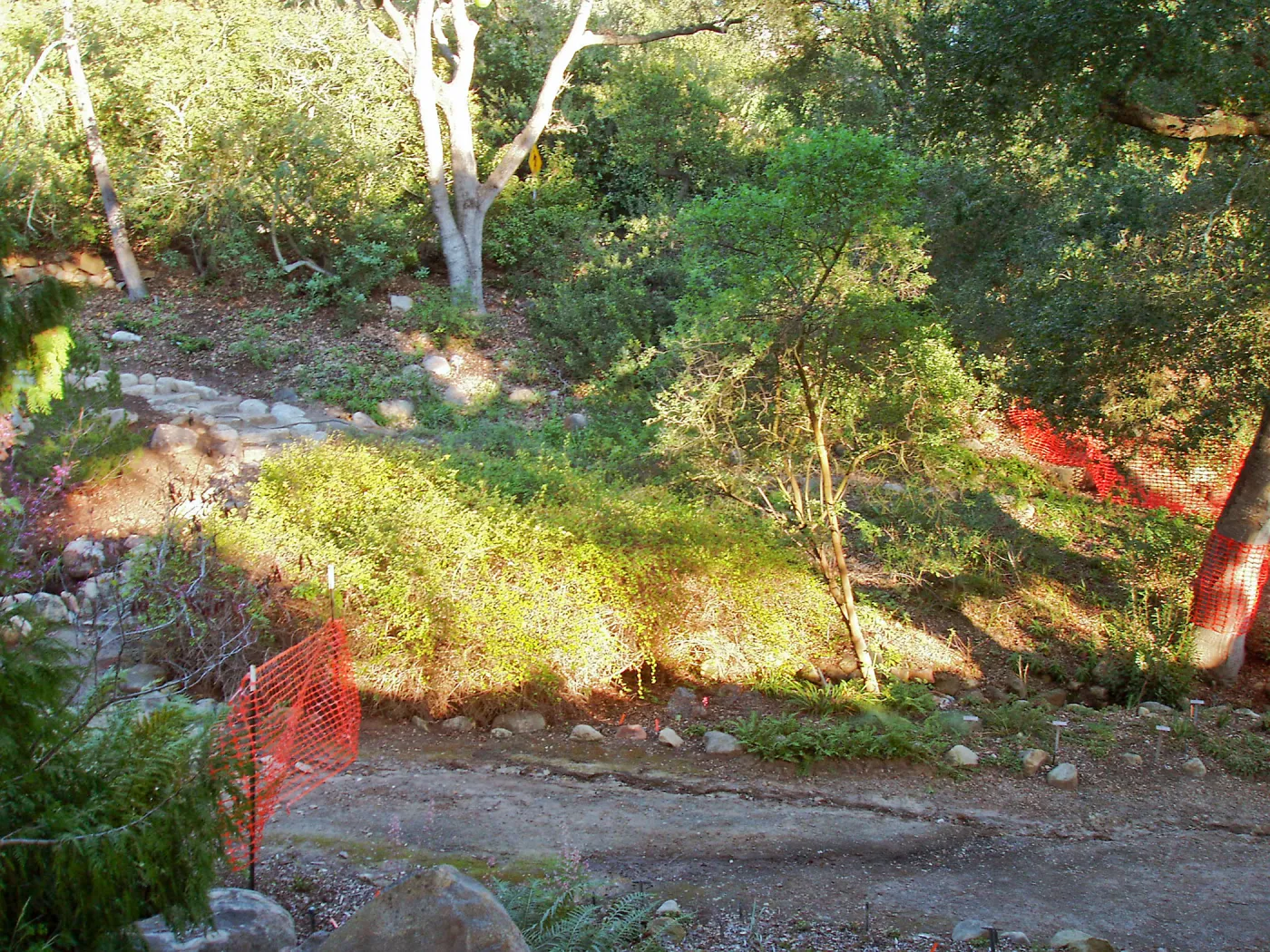 Discovery Garden construction