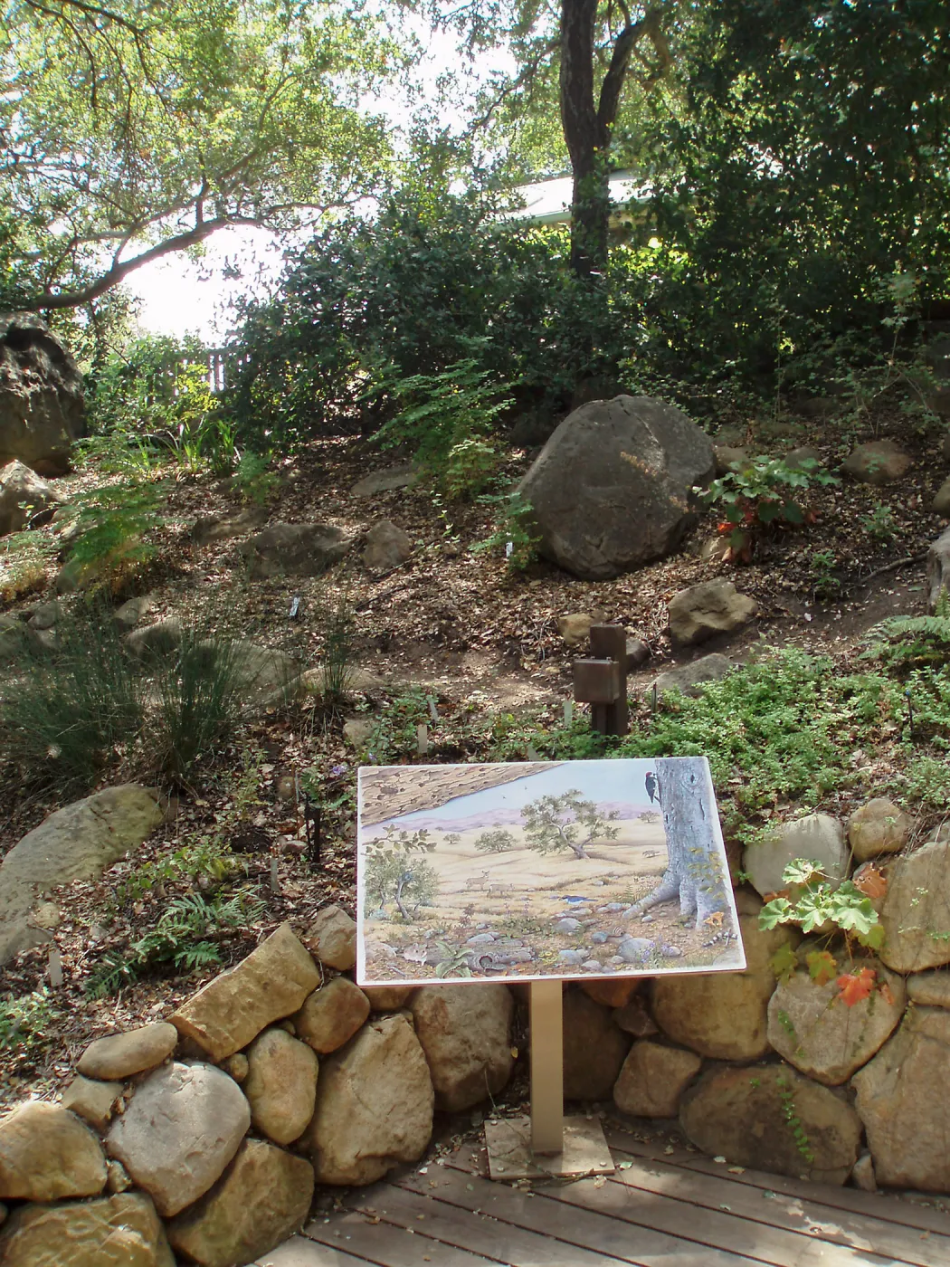 Discovery Garden