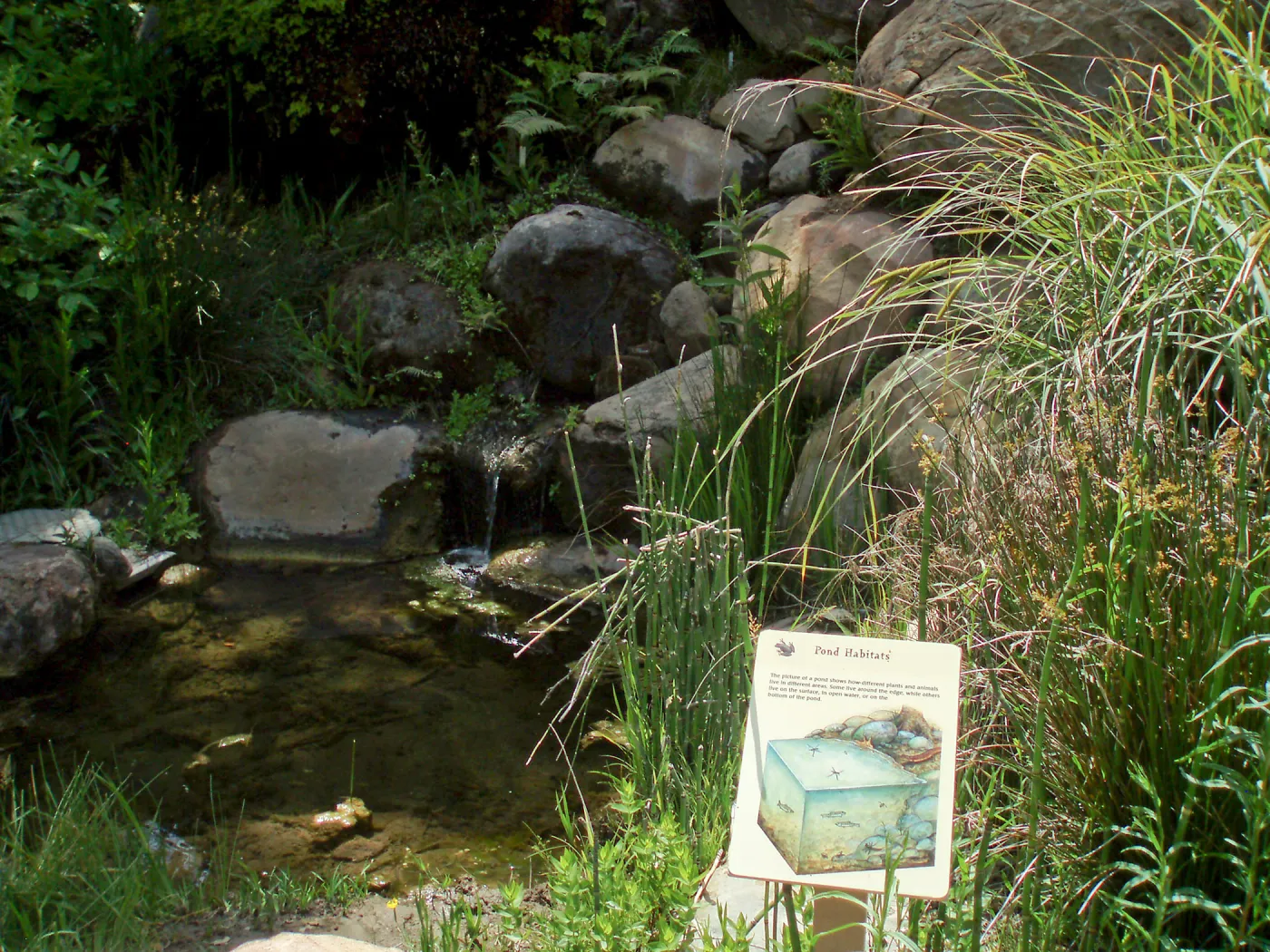 Discovery Garden