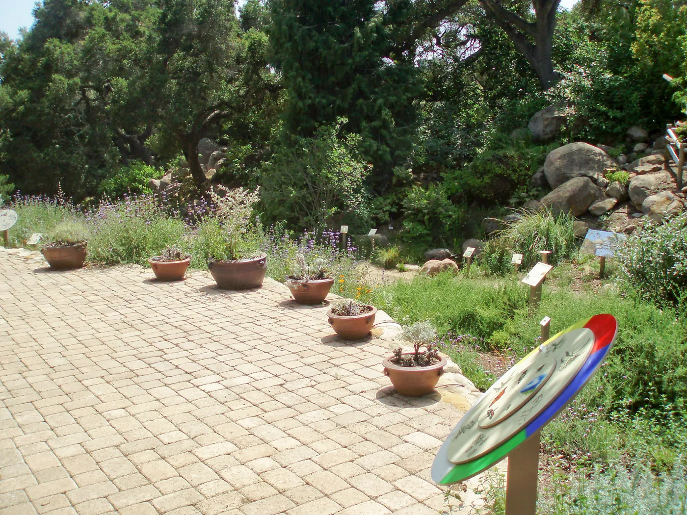 Discovery Garden