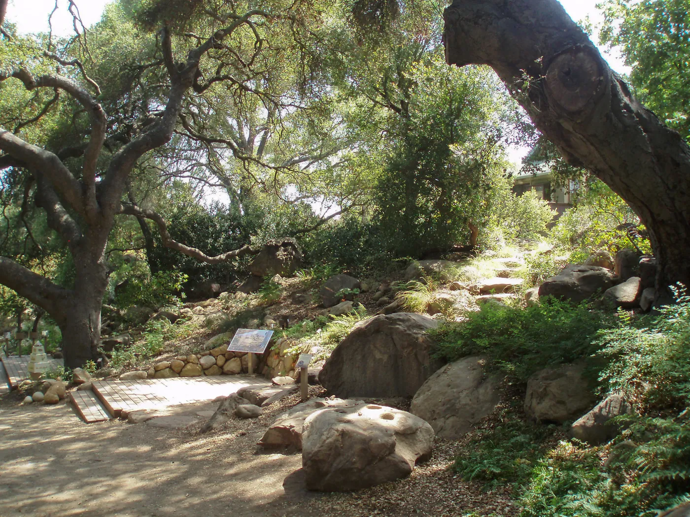 Discovery Garden