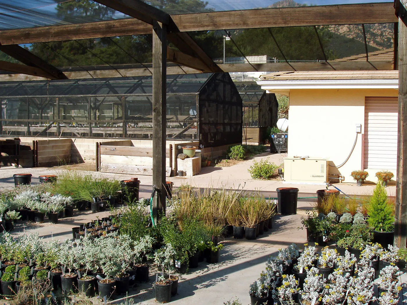 Nursery and Horticulture Unit looking north